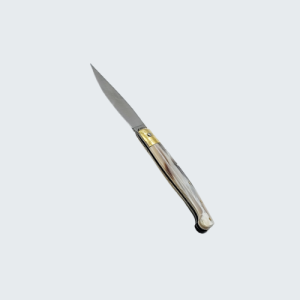 Pattada corno lucido chiaro