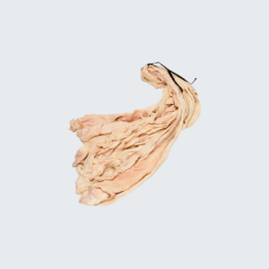 Budello Gentile di suino