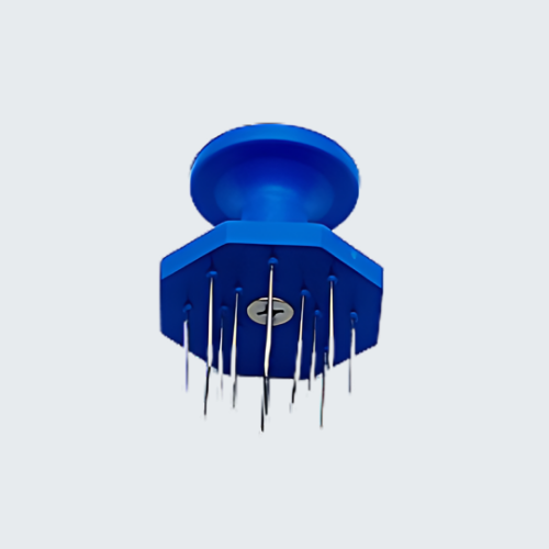 pungisalame Pungisalame